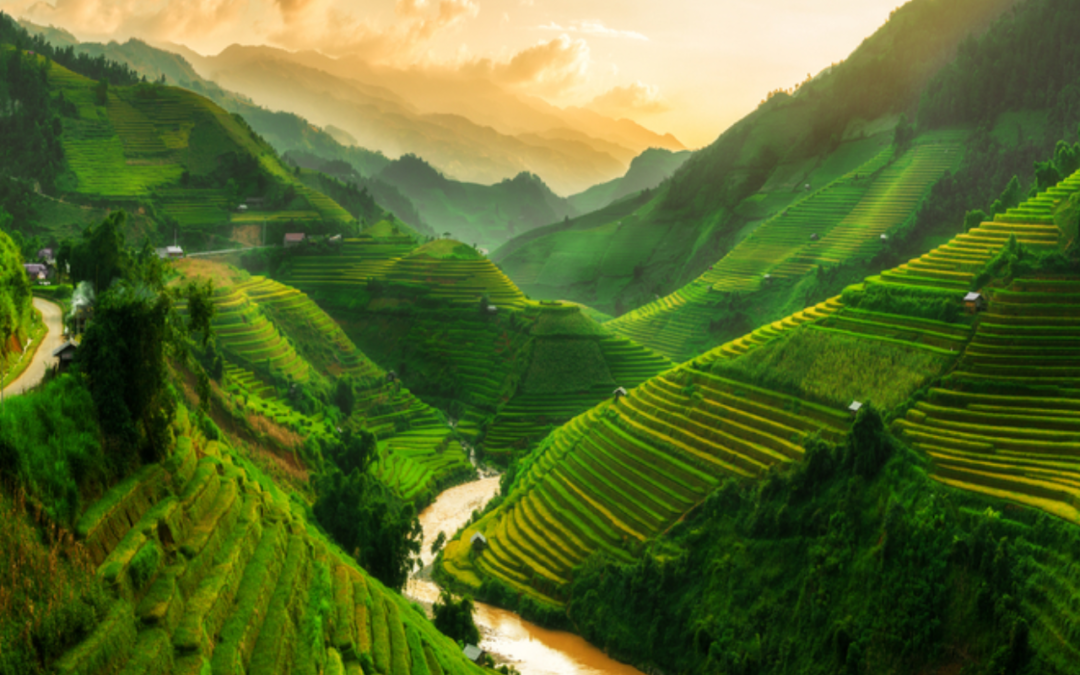 Vietnam – Asia Outlook Travel